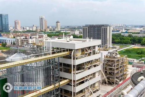 江海糧油張家港產(chǎn)業(yè)園二期榨油廠順利投產(chǎn)，年產(chǎn)96萬噸助力種業(yè)與糧油產(chǎn)業(yè)鏈協(xié)同發(fā)展