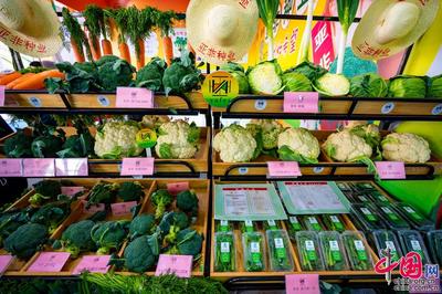 種業(yè)振興，改變世界 第二十九屆中國北京種業(yè)大會特色產(chǎn)品璀璨亮相